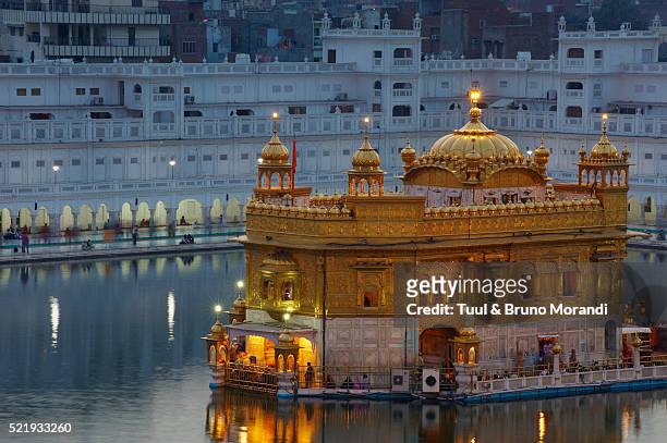 harmandir sahib temple in amritsar, india - amritsar stockfoto's en -beelden