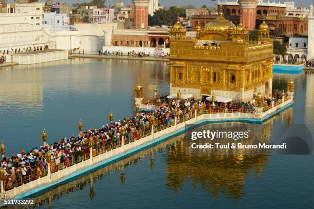 harmandir sahib temple in amritsar, india - punjabi culture stock pictures, royalty-free photos & images