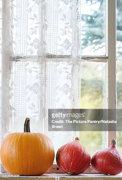assortment of different pumpkins on window sill - hokaido pumpkin stock pictures, royalty-free photos & images