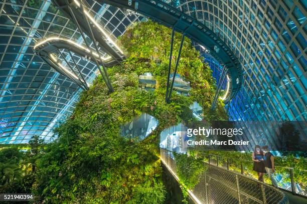 cloud forest - singapore botanic gardens foto e immagini stock