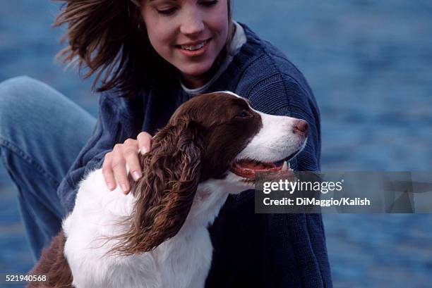 happy companions - english springer spaniel - fotografias e filmes do acervo