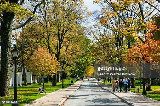 people strolling on sidewalk through neighborhood - dearborn fotografías e imágenes de stock