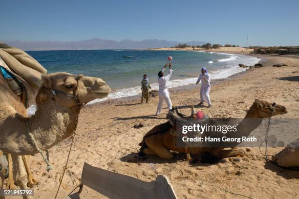 bedouins on the beach - nuweiba beach stock pictures, royalty-free photos & images