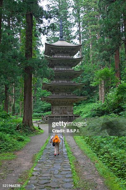 national treasure pagoda at dewa sanzan sacred mountains in japan's yamagata prefecture - japanese pagoda bildbanksfoton och bilder