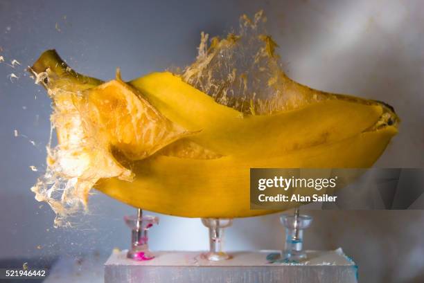 Exploding Bannan Banana Explosion Photos and Premium High Res Pictures - Getty Images