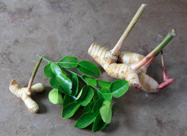 thailand, bangkok, market, galanga, lime leaves, - galanga thai fusion stock pictures, royalty-free photos & images