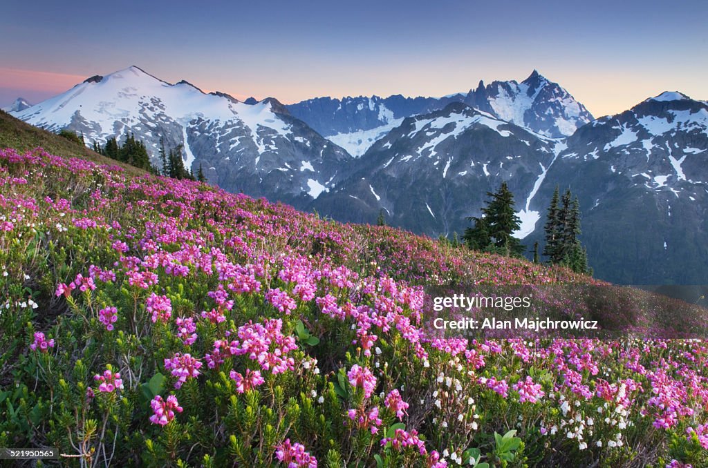 Ruth Mountain and Mount Shuksan North Cascades