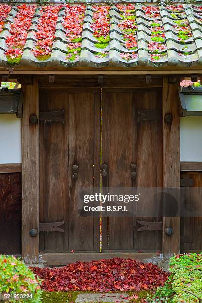 a detailed view shows a traditional wooden gate roofed with kawara ceramic tiles and sprinkled with autumn leaves at shugakuin imperial villa, located in the northeast area of kyoto, japan. - shugakuin villa stock pictures, royalty-free photos & images