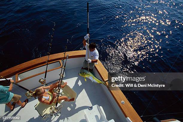 friends sport fishing on boat - woman spear fishing stock pictures, royalty-free photos & images