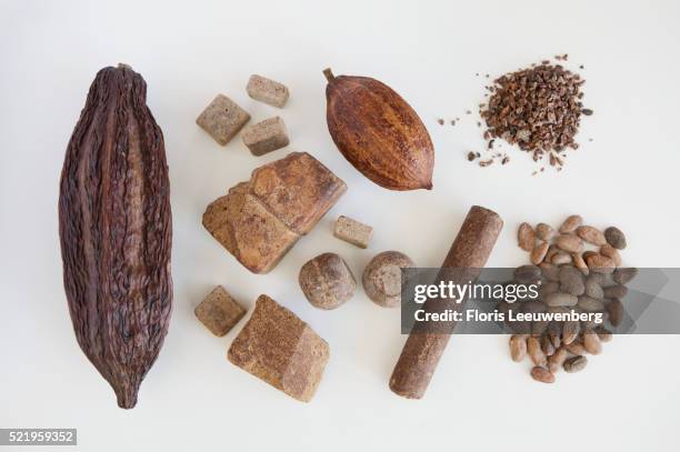 basic elements of chocolate - cacao beans stock pictures, royalty-free photos & images