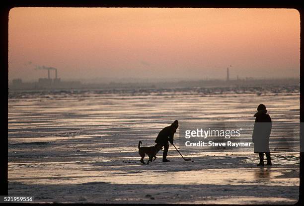 ice hockey player and dog - hockey player silhouette stock pictures, royalty-free photos & images