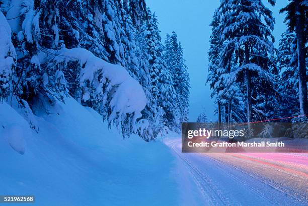 nighttime road covered with snow - alisa marshall imagens e fotografias de stock