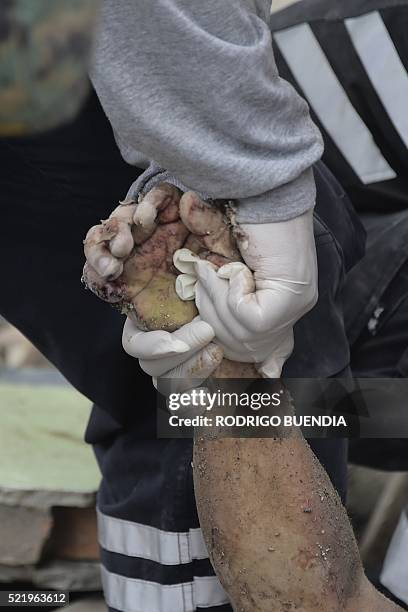 Rescuer pulls a victim out from the rubble in one of Ecuador's worst-hit towns, Pedernales, a day after a 7.8-magnitude quake hit the country, on...