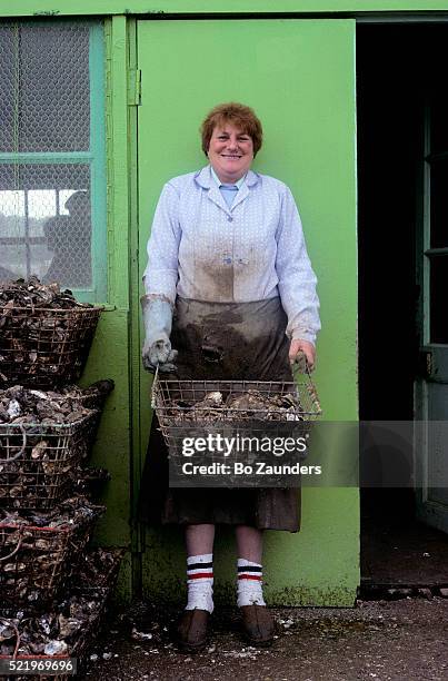 woman holding basket of oysters - oléron stock pictures, royalty-free photos & images