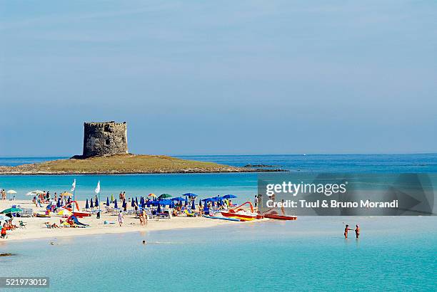 la pelosa beach in sardinia, italy - sardegna foto e immagini stock