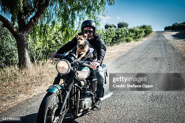 mature man and dog riding motorcycle on rural road, cagliari, sardinia, italy - moto humour fotografías e imágenes de stock