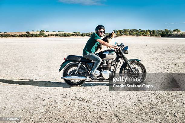 mid adult man and dog riding motorcycle on arid plain, cagliari, sardinia, italy - arid stock pictures, royalty-free photos & images