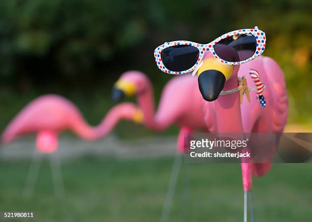 pink plastic flamingos in backyard - flamingos stock-fotos und bilder