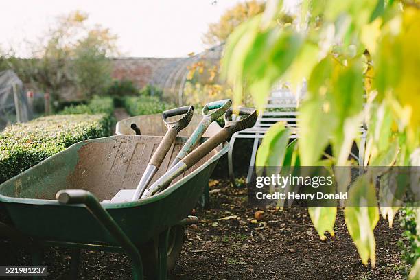 wheelbarrow and spades in kitchen garden - brouette photos et images de collection