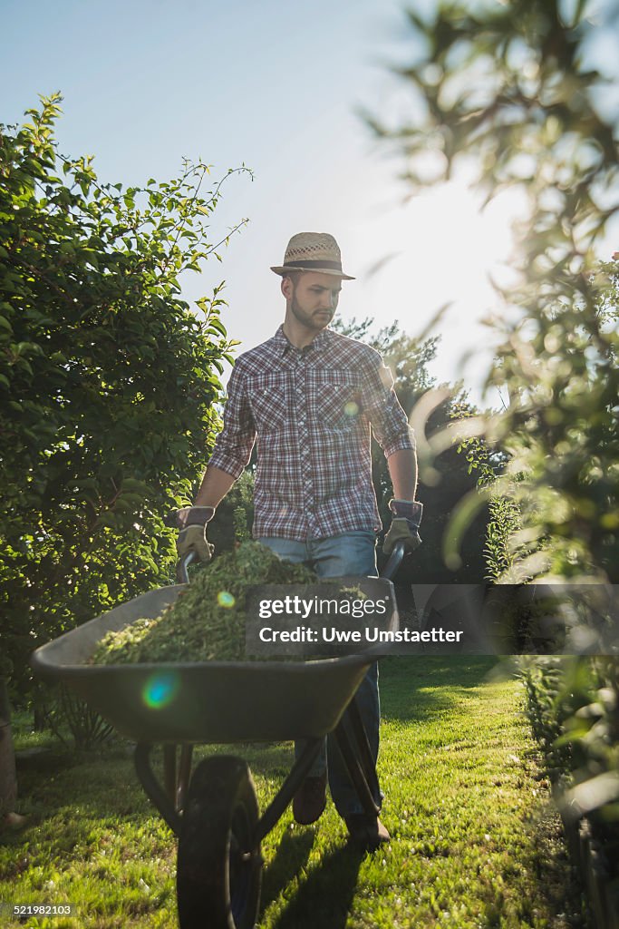 Gardener with wheelbarrow of grass cutting