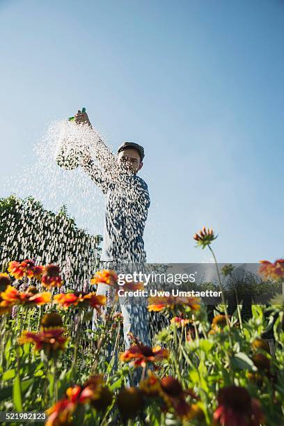 gardener watering flowers - flower arm fotografías e imágenes de stock