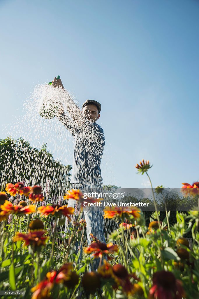 Gardener watering flowers