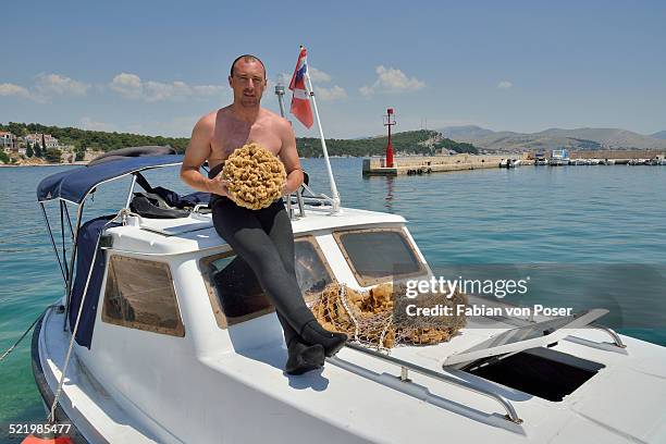 sponge diver with a giant sponge of the genus dalmata fina, krapanj, sibenik-knin, adriatic, croatia - dalmata 個照片及圖片檔