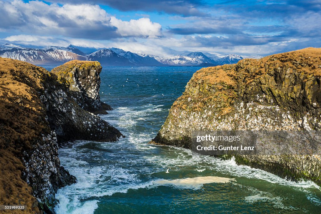 Cliff near Anarstapi, mountains of the Snaefellsness Peninsula at the back, Vesturland, Iceland
