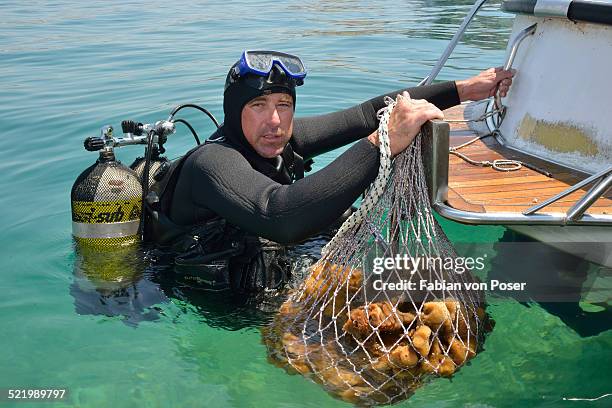 sponge diver with a net full of sponges of the genus dalmata fina, krapanj, sibenik-knin, adriatic, croatia - dalmata 個照片及圖片檔