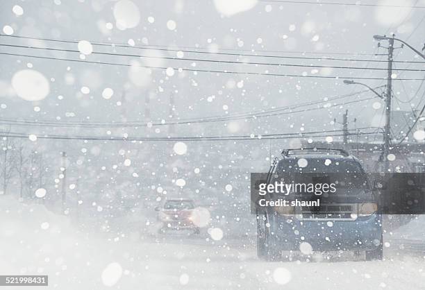 whiteout conditions - winter stock pictures, royalty-free photos & images