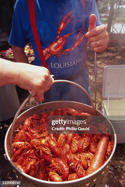 men lifting boiled crawfish from kettle - boiling stock pictures, royalty-free photos & images