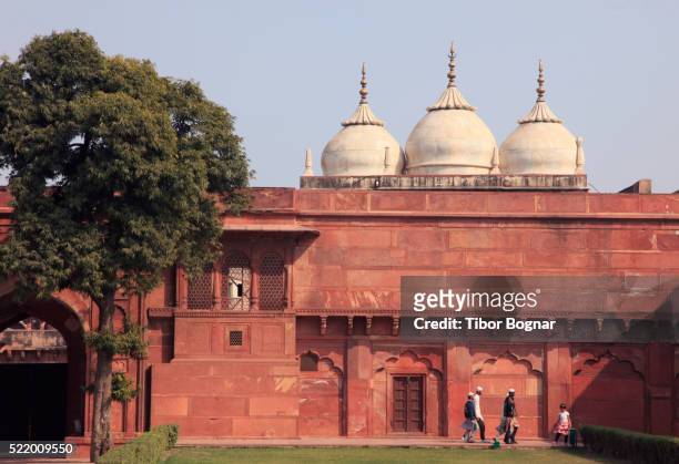 agra, fort, moti masjid, pearl mosque - moti masjid mosque stock pictures, royalty-free photos & images