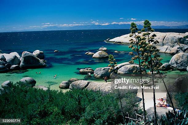boulder beach in simonstown - cape of good hope stock pictures, royalty-free photos & images