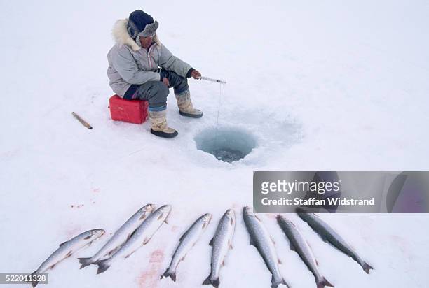 fishing for arctic charr through ice hole - inuit foto e immagini stock