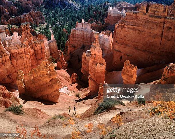 hikers on the navaho loop trail in bryce canyon national park, utah - bryce canyon 個照片及圖片檔