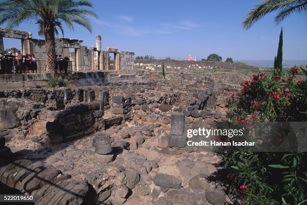 site of the synagogue of capernaum - capernaum film stock-fotos und bilder