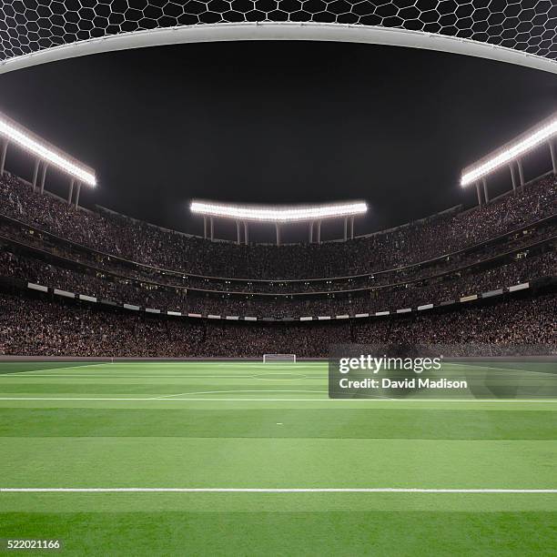 soccer field and stadium - stadio foto e immagini stock