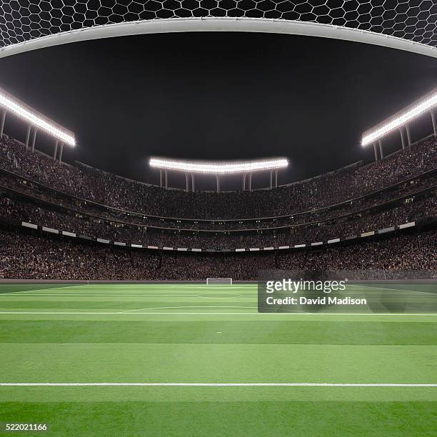 soccer field and stadium - サッカー国際大会 ストックフォトと画像