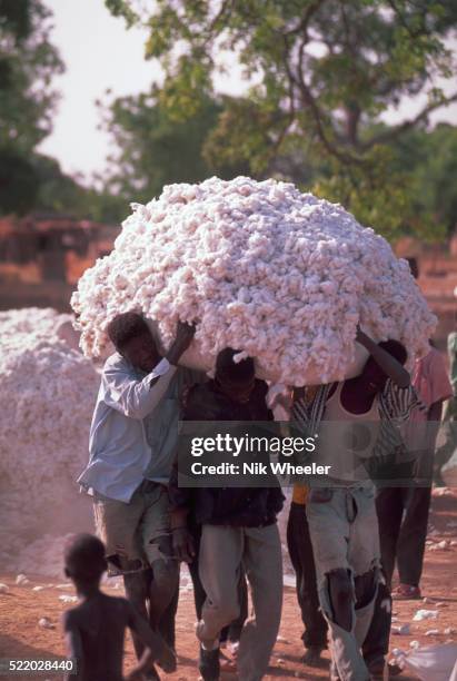 Carrying Cotton