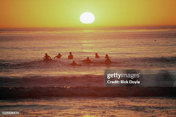 Surfers Enjoying The Sunset, Foto de stock