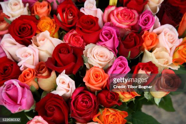 roses for sale at flower market - bouquet de fleurs photos et images de collection