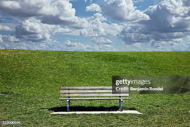 bench in park - park bench stock pictures, royalty-free photos & images