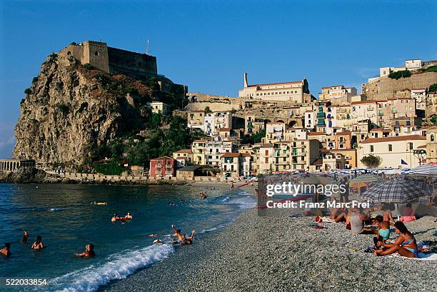 sunbathing in scilla - campainha família do lírio - fotografias e filmes do acervo