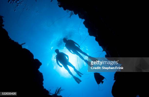 silhouette of divers and angelfish - sporttauchen stock-fotos und bilder