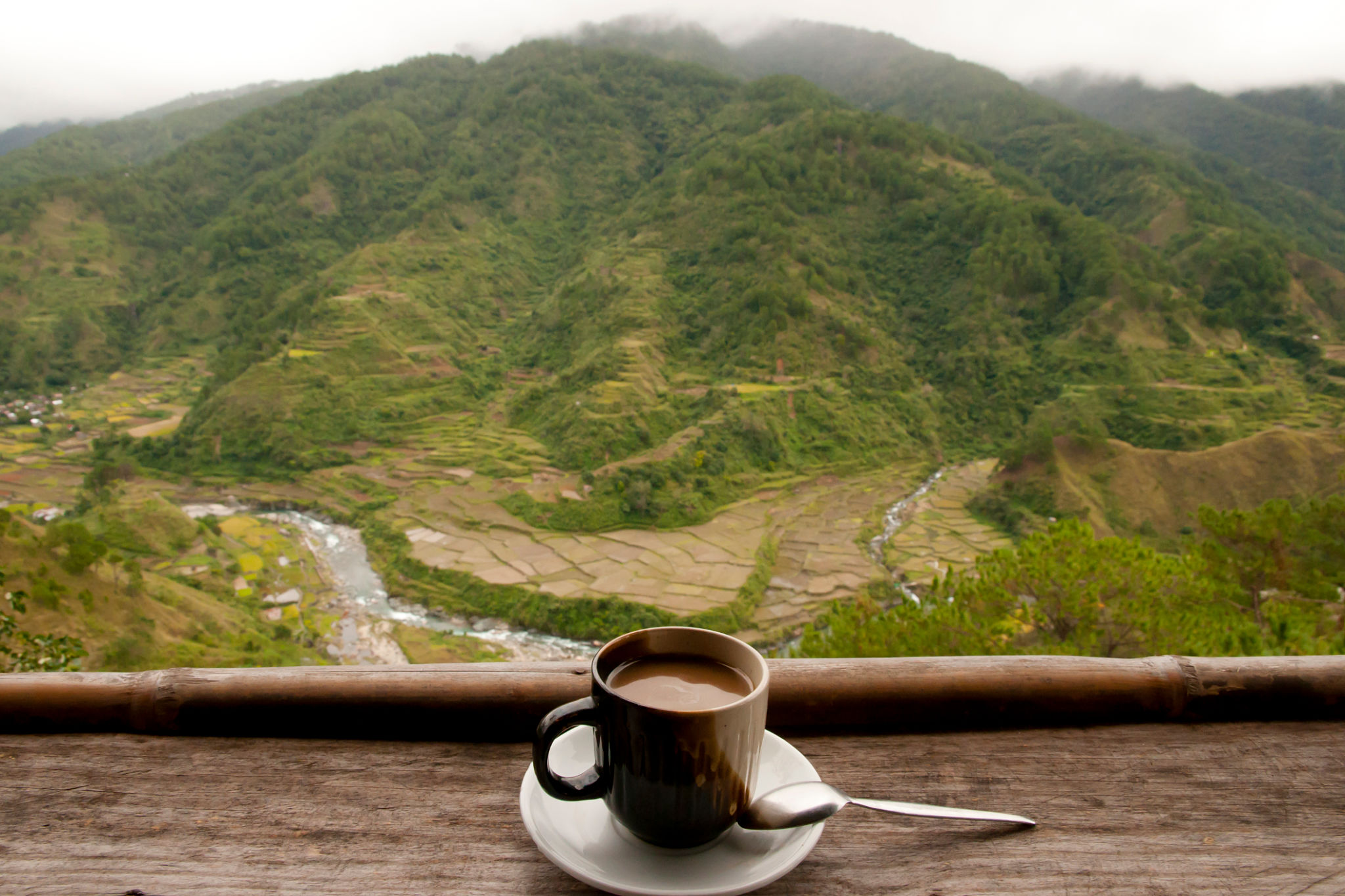 philippines coffee farm