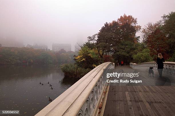 bow bridge in central park - balustrade stock pictures, royalty-free photos & images