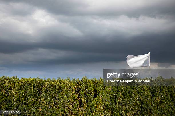 white flag flying over hedge - sich ergeben stock-fotos und bilder