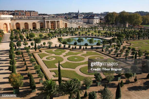 orangerie garden in the gardens of versailles - versailles park stock pictures, royalty-free photos & images