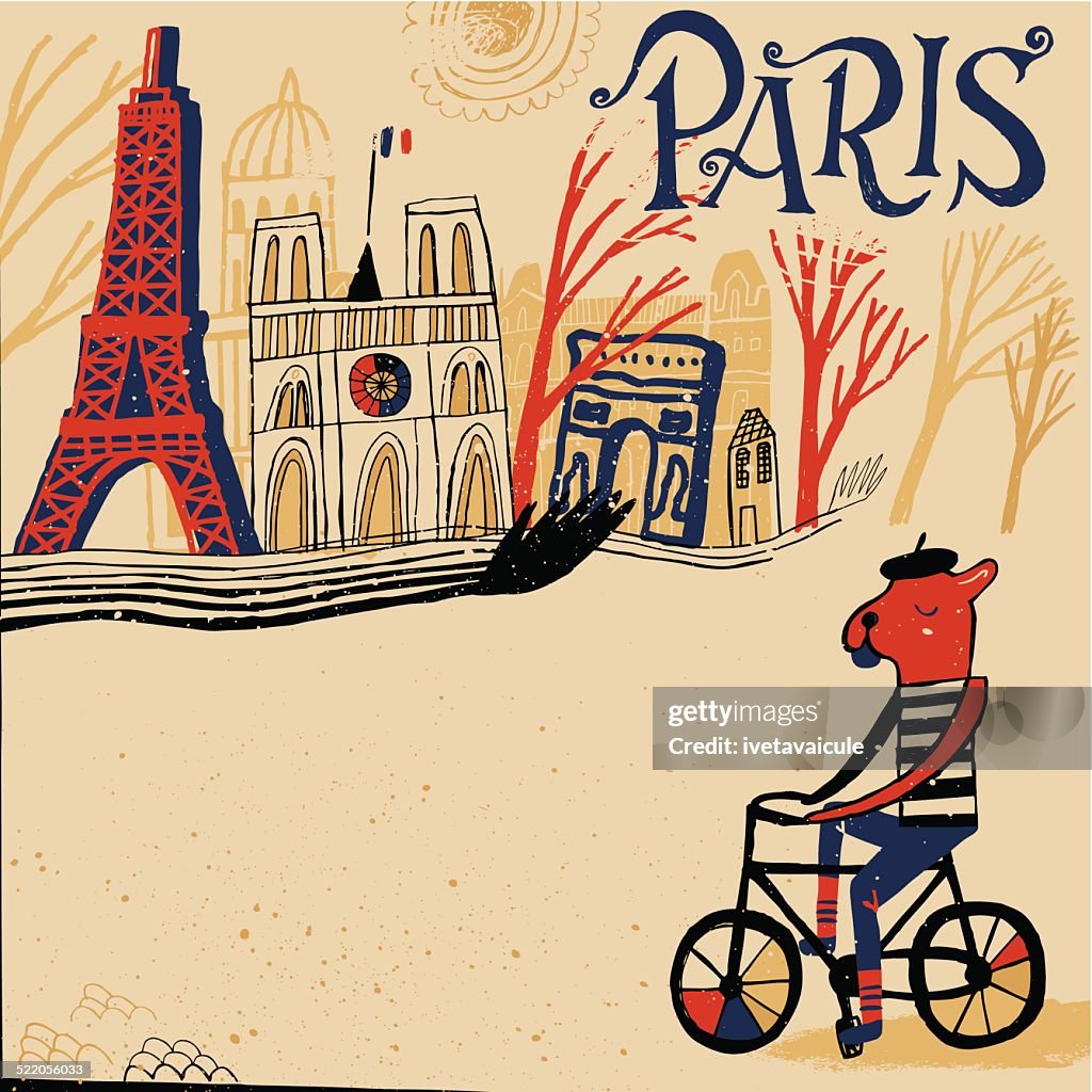French bulldog cycling through the Paris in France.