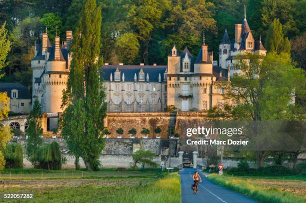 usse castle - cycling loire valley stock pictures, royalty-free photos & images